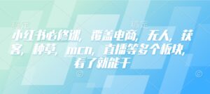 小红书的必修课程,遮盖电子商务,没有人,拓客,种树,mcn,直播间等各个版块,一看就会干-中创网_分享创业项目_助您在家赚钱