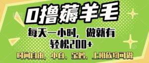 0撸撸羊毛,每天一小时,做就会有轻轻松松2张,新手宝妈妈,工薪族都可做-中创网_分享创业项目_助您在家赚钱