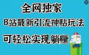 各大网站独家代理,B站全新引流方法神贴游戏玩法,可真正实现躺Z-中创网_分享创业项目_助您在家赚钱