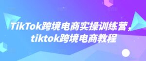 TikTok跨境电子商务实操训练营，tiktok跨境电子商务实例教程-中创网_分享创业项目_助您在家赚钱