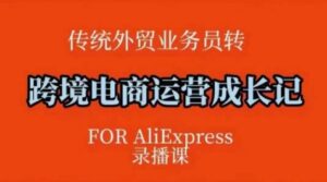 跨境电子商务速卖通运营课，运营方法论 后台管理实际操作，条理清晰-中创网_分享创业项目_助您在家赚钱