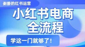 小红书电商全过程,精减通俗易懂,实用教程,学这一门就行了-中创网_分享创业项目_助您在家赚钱