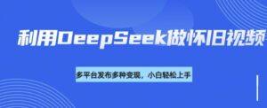 运用DeepSeek做怀旧视频，总流量号多种渠道变现力强-中创网_分享创业项目_助您在家赚钱