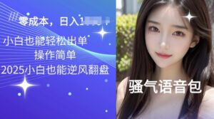 2025骚性导航语音包新项目,零基础小白单日转现好几张-中创网_分享创业项目_助您在家赚钱