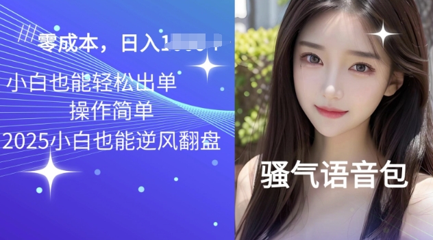 2025骚性导航语音包新项目，零基础小白单日转现好几张-中创网_分享创业项目_助您在家赚钱