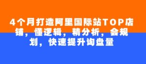 4个月打造出阿里巴巴国际TOP店面,懂逻辑性,精剖析,会整体规划,快速升级外贸询盘量-中创网_分享创业项目_助您在家赚钱