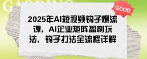 2025年AI小视频勾子爆流课,AI公司引流矩阵赢利游戏玩法,勾子玩法全过程详细说明-中创网_分享创业项目_助您在家赚钱