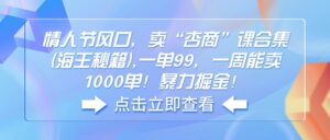 （14158期）七夕节出风口，卖“杏商”课合辑(海神秘笈),一单99，一周可以卖1000单！暴...-中创网_分享创业项目_助您在家赚钱