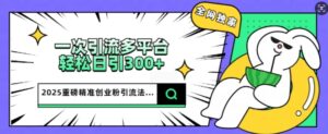 2025重磅消息各大网站独家代理引流法，一次全平台，轻轻松松日引300 精确自主创业粉-中创网_分享创业项目_助您在家赚钱