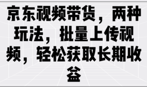 京东商城短视频带货,二种游戏玩法,批量采集短视频,轻松获取长期收益-中创网_分享创业项目_助您在家赚钱
