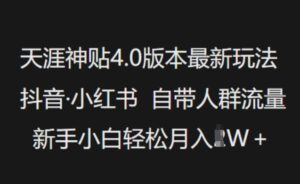 天涯神贴4.0版本号全新游戏玩法,抖音视频·小红书的内置群体总流量,新手入门轻轻松松月入了W-中创网_分享创业项目_助您在家赚钱