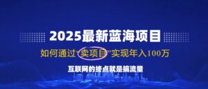 (14305期)2025全新蓝海项目,零门槛轻轻松松拷贝,月入10万 ,初学者也可以实际操作!-中创网_分享创业项目_助您在家赚钱