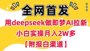 用deepseek做即梦Ai引流 新手实际操作月入了W 【附开通抖音小店方式】-中创网_分享创业项目_助您在家赚钱
