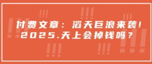 付费文章：狂风巨浪来临！2025天空就掉了钱吗？-中创网_分享创业项目_助您在家赚钱