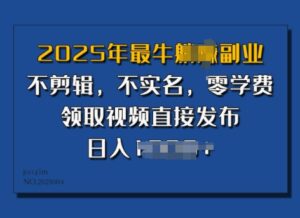 2025年最强第二职业，不视频剪辑，不实名认证，零培训费，零粉能做，领到短视频立即公布，有播放视频就会有盈利-中创网_分享创业项目_助您在家赚钱