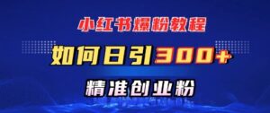 小红书的涨粉实例教程,怎样日引300 自主创业粉,迅速进行精准转现-中创网_分享创业项目_助您在家赚钱