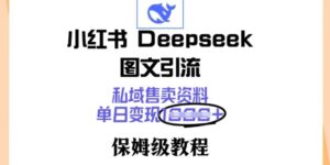 小红书的Deepseek图文并茂引流方法，公域出售材料，单日转现好几张，家庭保姆级实例教程-中创网_分享创业项目_助您在家赚钱