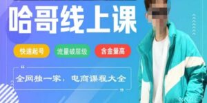 电子商务在线课程2025年,迅速养号,总流量破等级,这套方法养号率99%-中创网_分享创业项目_助您在家赚钱