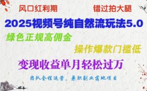 2025微信视频号纯自然流游戏玩法5.0,翠绿色靠谱高佣金,实际操作爆品成本低,转现盈利单月轻松突破万-中创网_分享创业项目_助您在家赚钱