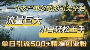 QQ引流方法自主创业粉,总流量极大,新手快速上手,单日引流方法500-中创网_分享创业项目_助您在家赚钱
