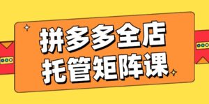 (14328期)拼多多平台店铺代管引流矩阵课,赢利促销游戏玩法,高效率方案设定,提升店铺经济效益-中创网_分享创业项目_助您在家赚钱