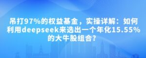 付费文章：完爆97%的权益基金，实际操作详细说明：如何运用deepseek来选出一个年化利率15.55%的黑马股组成?-中创网_分享创业项目_助您在家赚钱