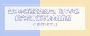 知乎小说推文怎么玩，知乎小说推文项目保姆级实战教程-中创网_分享创业项目_助您在家赚钱