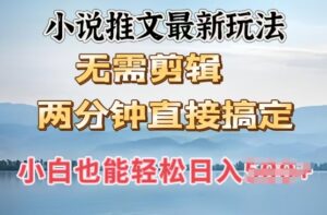 抖推猫全新游戏玩法,新手也可以月入5k,小说推文不用视频剪辑,立即代发货,2min立即解决-中创网_分享创业项目_助您在家赚钱