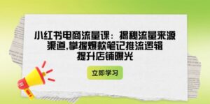 (14318期)小红书电商总流量课:揭密流量渠道方式,把握爆品手记拉流逻辑性,提升店铺曝出-中创网_分享创业项目_助您在家赚钱