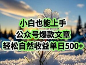 新手也可以入门,微信公众号爆款文章,轻松自然流盈利单日5张-中创网_分享创业项目_助您在家赚钱