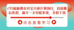 2月全新撸支付宝钱包分为计划项目，立即运送连怼，初学者一天轻轻松松好几张，全过程干货知识-中创网_分享创业项目_助您在家赚钱