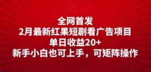 独家首发，2月全新红果短剧剧本看广告项目，单日盈利20 ，新手入门也可以入门，可引流矩阵实际操作-中创网_分享创业项目_助您在家赚钱