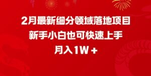 2月全新细分行业落地项目,新手入门也可以快速入门,月收入1W-中创网_分享创业项目_助您在家赚钱