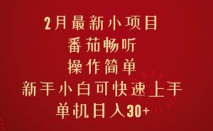 2月最新小项目,番茄畅听,操作简单,新手小白可快速上手,单机日入30+-中创网_分享创业项目_助您在家赚钱
