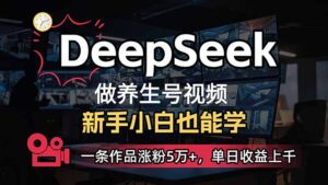 （14270期）新手用DeepSeek做健康养生号，一条著作增粉5万 ，单日盈利过千-中创网_分享创业项目_助您在家赚钱