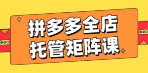 拼多多平台店铺代管引流矩阵课,赢利促销游戏玩法,高效率方案设定,提升店铺经济效益-中创网_分享创业项目_助您在家赚钱