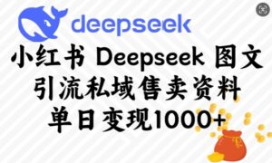 小红书的Deepseek图文并茂引流方法公域出售材料,单日转现好几张-中创网_分享创业项目_助您在家赚钱