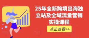 25年全新升级跨境出海自建站及全域流量营销推广实操课程,跨境电商电商独立站TIKTOK全域营销普通货物运输物流游戏玩法全集-中创网_分享创业项目_助您在家赚钱