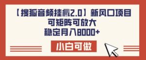 【搜狐网声频挂JI2.0】新蓝海项目,可引流矩阵可变大,平稳月入8k-中创网_分享创业项目_助您在家赚钱
