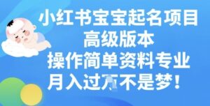 小红书宝宝起名项目高级版本,操作简单,资料专业,月入过W-中创网_分享创业项目_助您在家赚钱