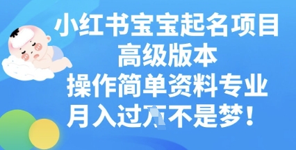 小红书宝宝起名项目高级版本，操作简单，资料专业，月入过W