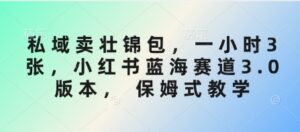 公域卖壮锦包,一小时3张,小红书的瀚海跑道3.0版本号, 跟踪服务课堂教学-中创网_专注互联网创业,项目资源整合-中创网_分享创业项目_助您在家赚钱