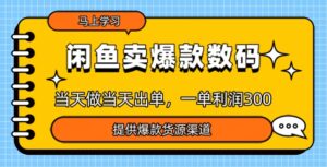 淘宝闲鱼爆款货源，那天做当日开单，一单利润3张-中创网_分享创业项目_助您在家赚钱