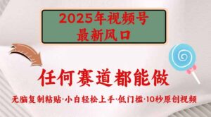 （14453期）2025年微信视频号新蓝海，门槛较低只需没脑子实行-中创网_分享创业项目_助您在家赚钱