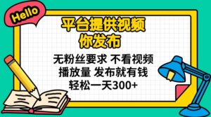 （14171期）平台提供视频 你发布 无粉丝要求 不看视频播放量 发布就有钱 轻松一天300+-中创网_分享创业项目_助您在家赚钱