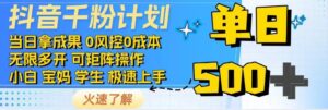 抖音视频千粉方案,日入500 ,包落地式,当日拿成效-中创网_分享创业项目_助您在家赚钱