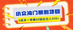 冷门小众赚钱项目，小红书的卖虚似材料，0成本费一单挣60轻轻松松日入好几张-中创网_分享创业项目_助您在家赚钱