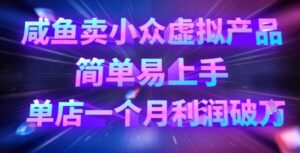 咸鱼卖小众虚拟产品,简单易上手,单店一个月利润破W-中创网_分享创业项目_助您在家赚钱