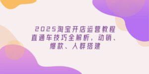 (14389期)2025淘宝开店运营教程更新,直通车技巧全解析,动销、爆款、人群搭建-中创网_分享创业项目_助您在家赚钱