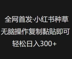 独家首发，小红书种草没脑子实际操作，拷贝粘贴就可以，轻轻松松日入3张-中创网_分享创业项目_助您在家赚钱
